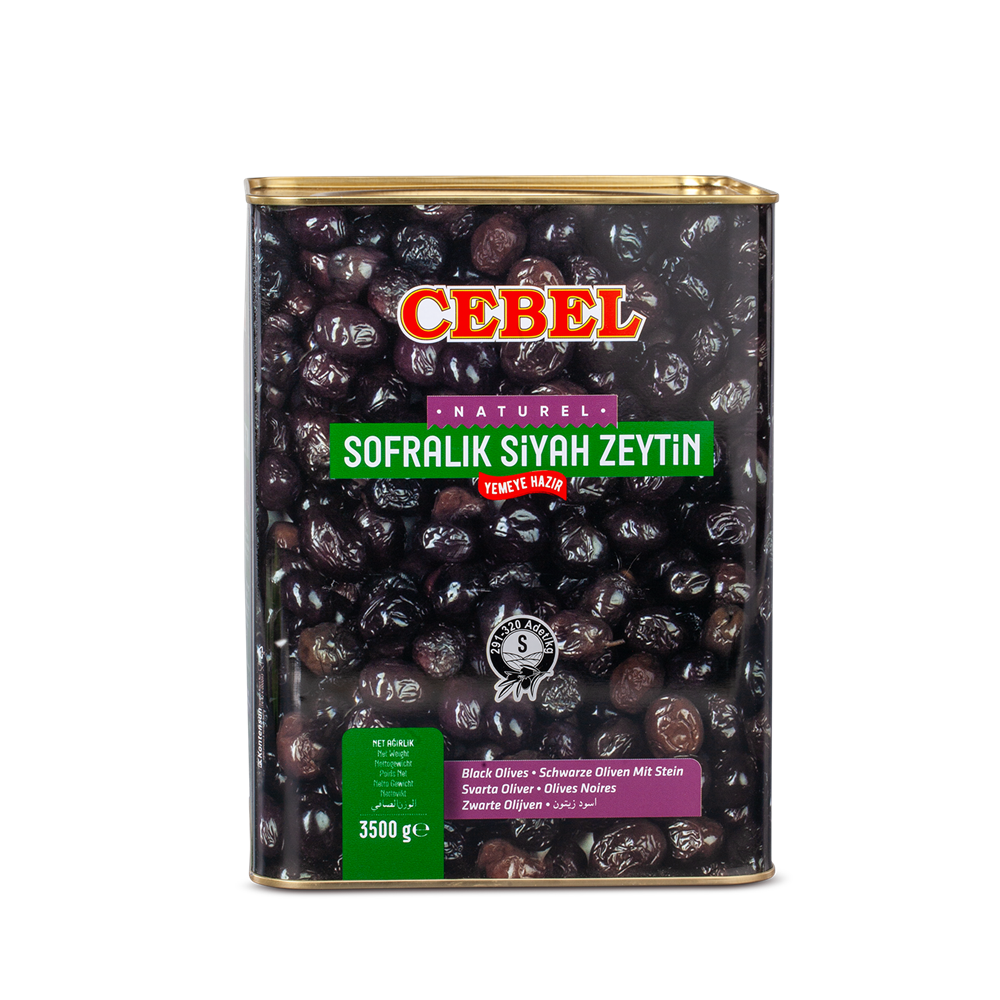 Siyah Zeytin